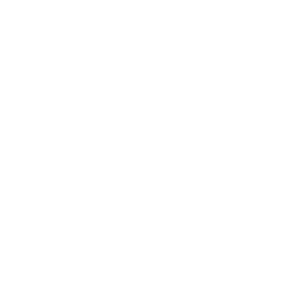 SnoopySoFly